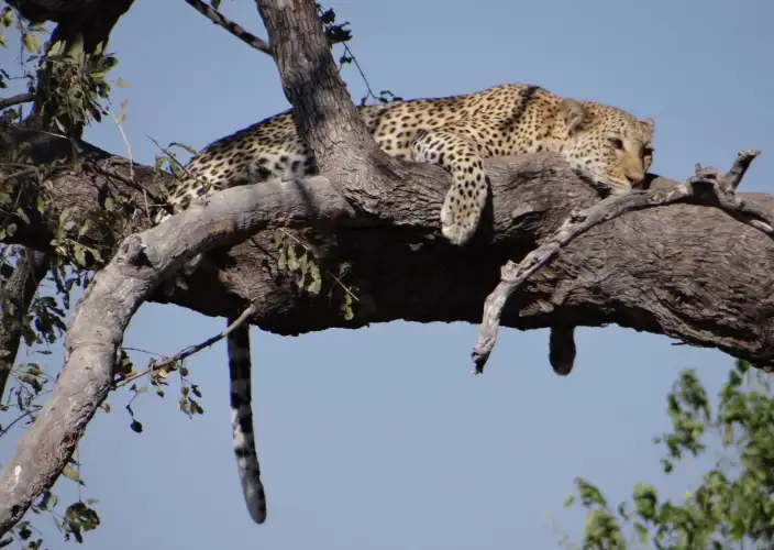 Botswana aus der Luft gesehen - null - Tagesfoto