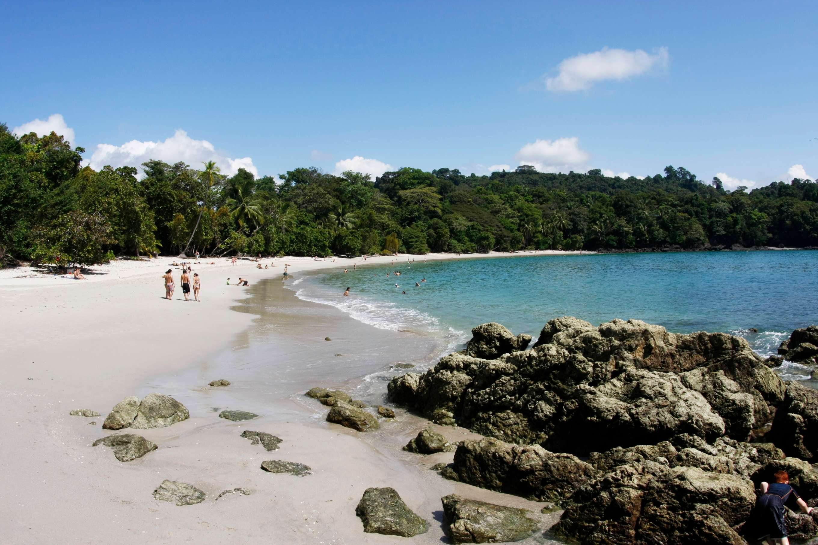 Aventure en famille au pays de l'or vert ! - Réserve Monteverde - Manuel Antonio - Réserve Monteverde - Manuel Antonio