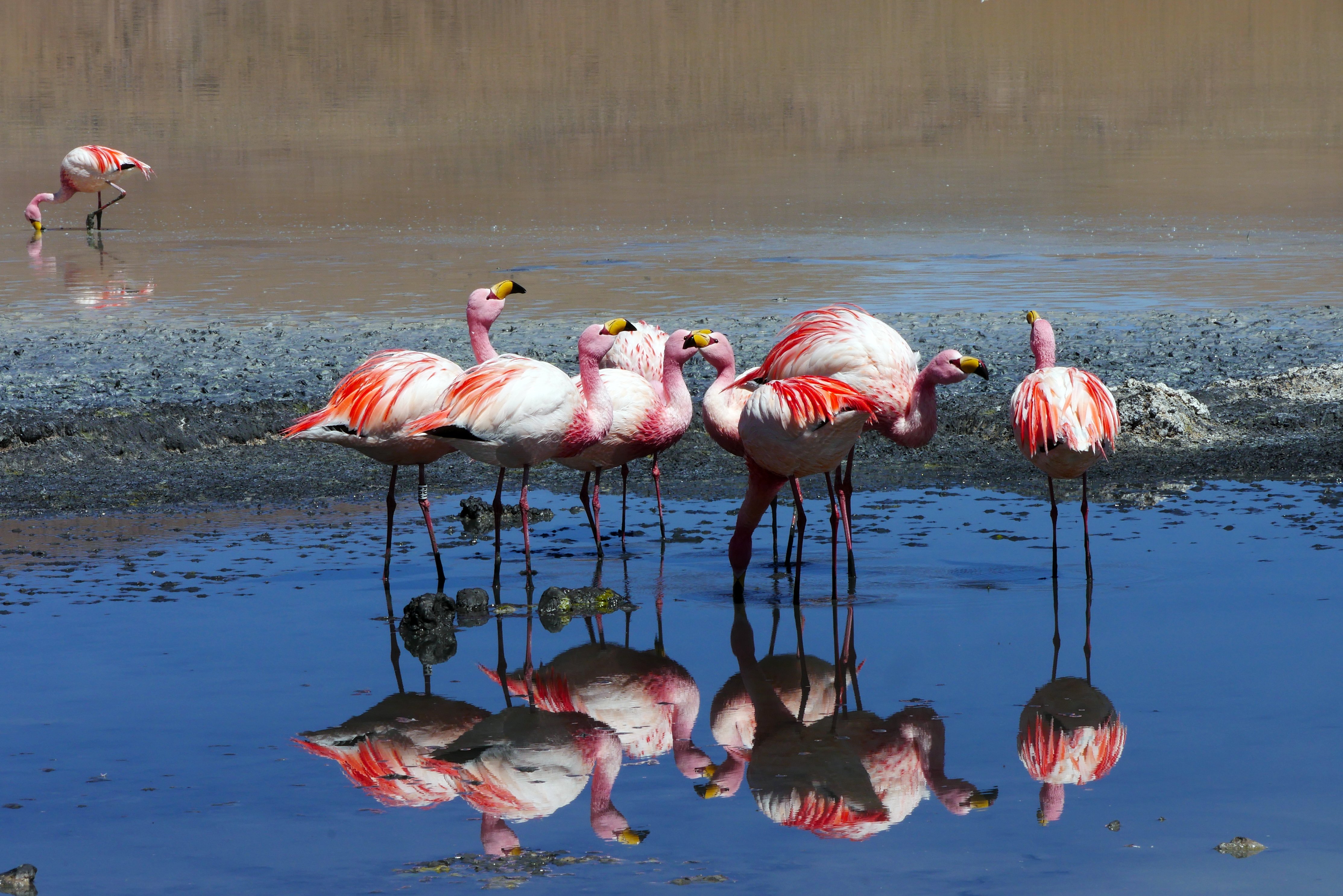 Reinvented Bolivia: a grand tour between culture and immensity - 4x4 excursion in the Lipez, from Tupiza to the Uyuni Salt Flats - Photo of the day