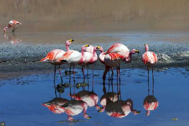 Reinvented Bolivia: a grand tour between culture and immensity
