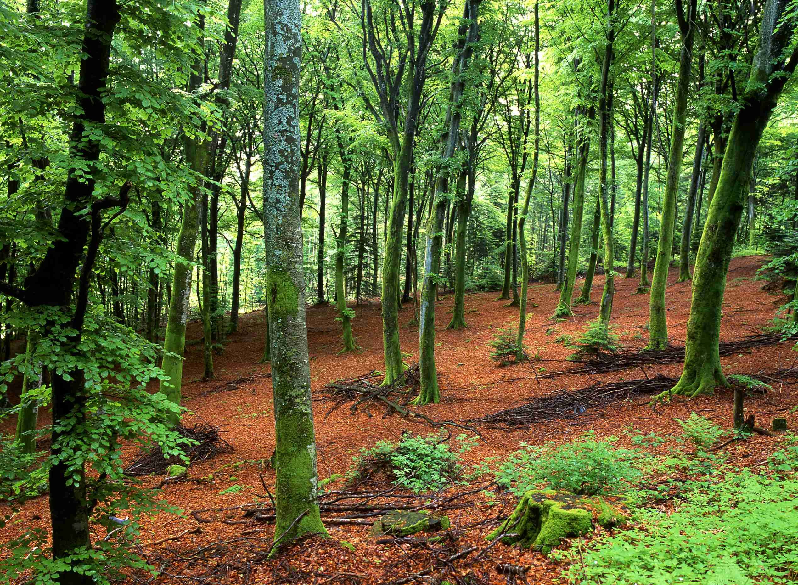 Yoga retraite Ouders-Kinderen in de Morvan - De yogastage begint! - Le stage de yoga commence !