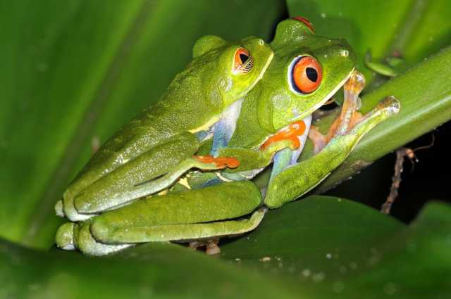 Fauna, flora en ontspanning – een gevarieerd en voordelig verblijf