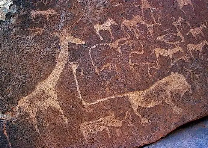 No coração dos tesouros da África Austral - O Damaraland - Foto do dia