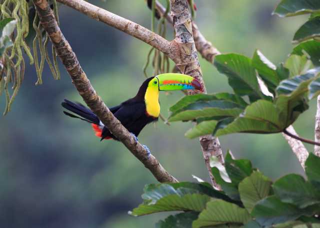 Natuurlijke wonderen van Costa Rica