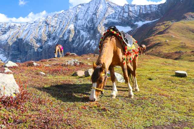 The best of trekking in the mountains of Pakistan and the cultural visit of the Hunza Valley.