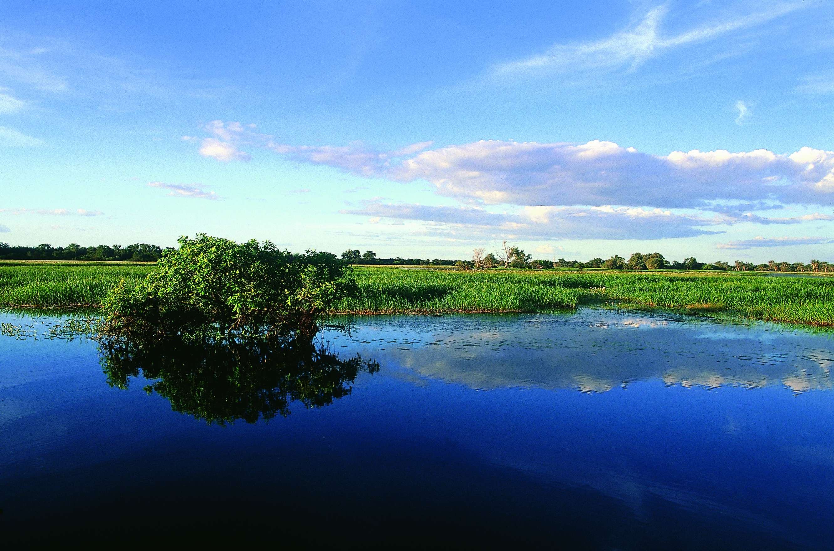 Aboriginal ervaringen - Yellow Water Cruise - Kakadu National Park - Croisière Yellow Water - Kakadu National Park