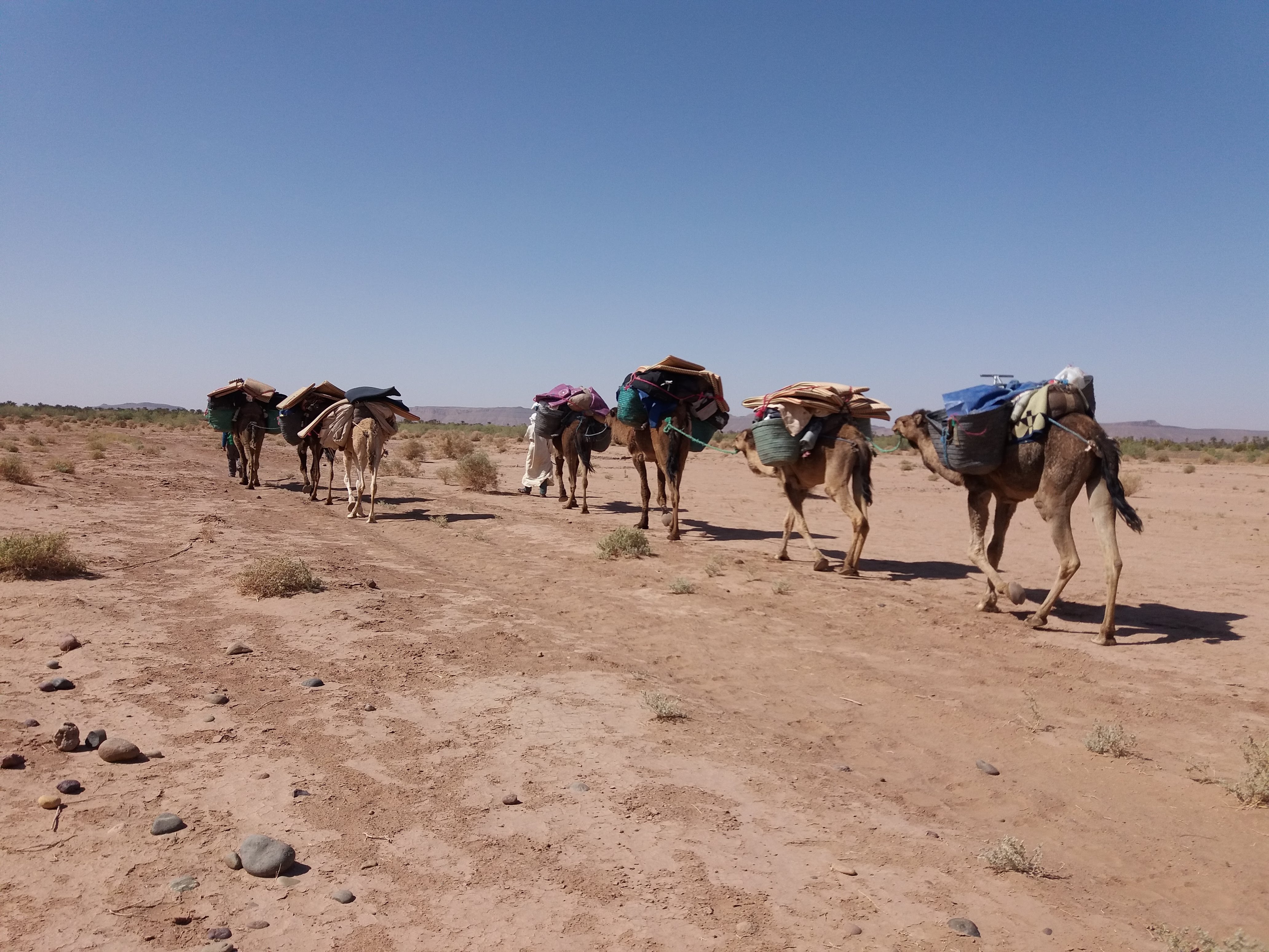 Trek et randonnée dans le désert – Vallée du Drâa – 5 jours - Dunes Regabi - Oud Draa - Village Oulad Driss - Photo du jour