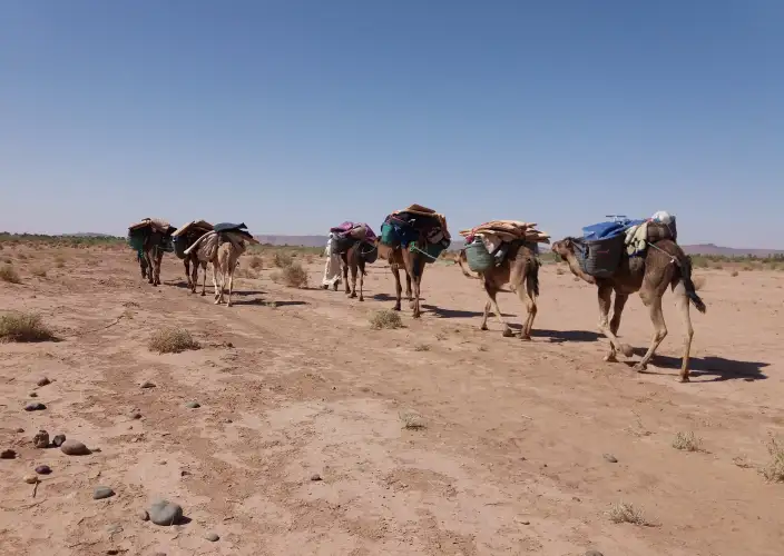 Trek et randonnée dans le désert – Vallée du Drâa – 5 jours - Dunes Regabi - Oud Draa - Village Oulad Driss - Photo du jour