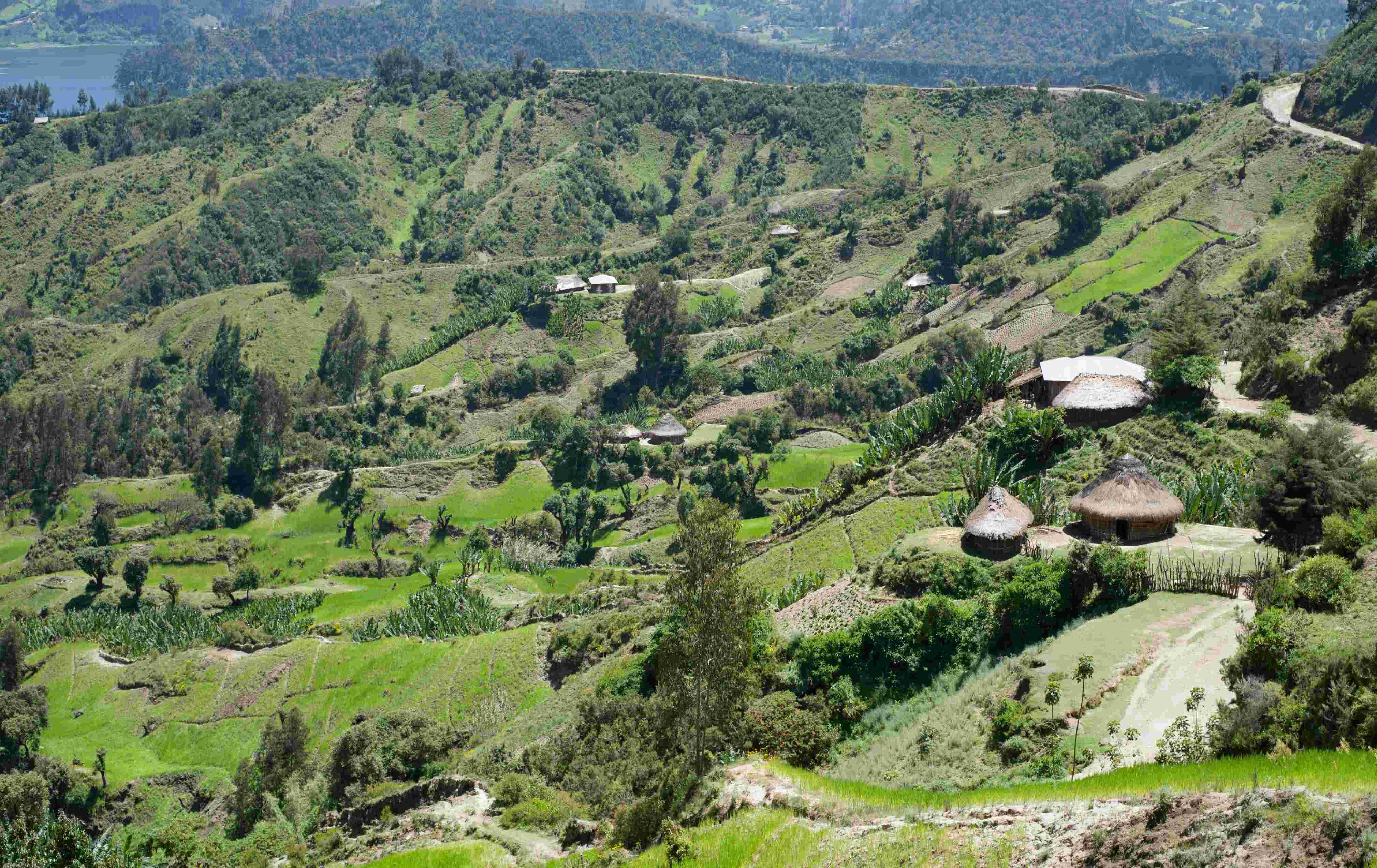 Montañas y lagos de Dire Dawa a Addis Abeba - Confort en la montaña: El Bale Mountain Lodge - Confort en montagne : Le Bale Moutain Lodge