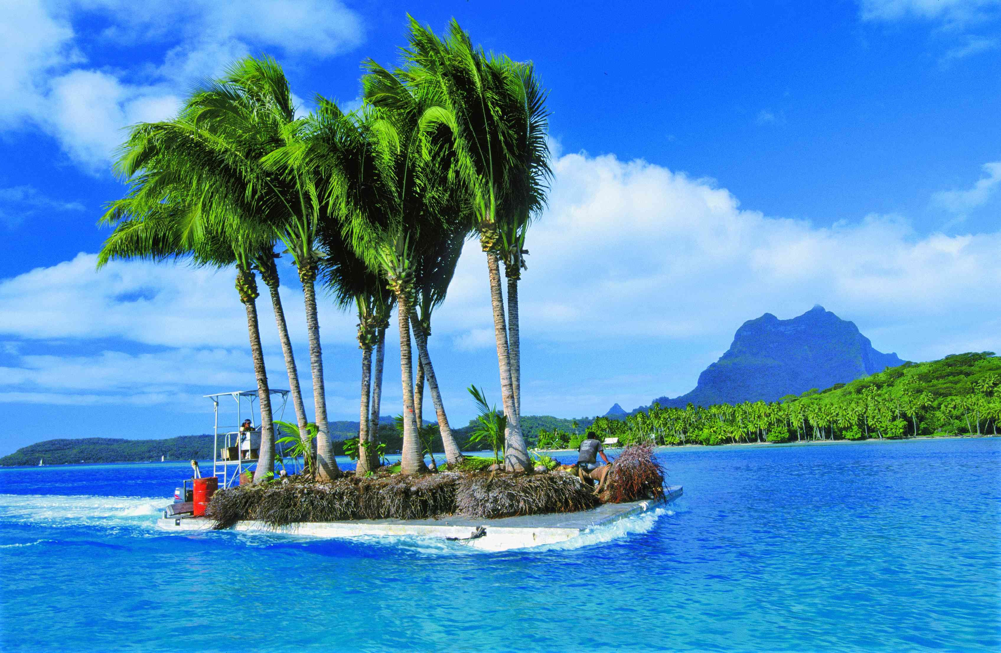 18 dagen op ontdekking naar de Polynesische cultuur - Maupiti - Maupiti