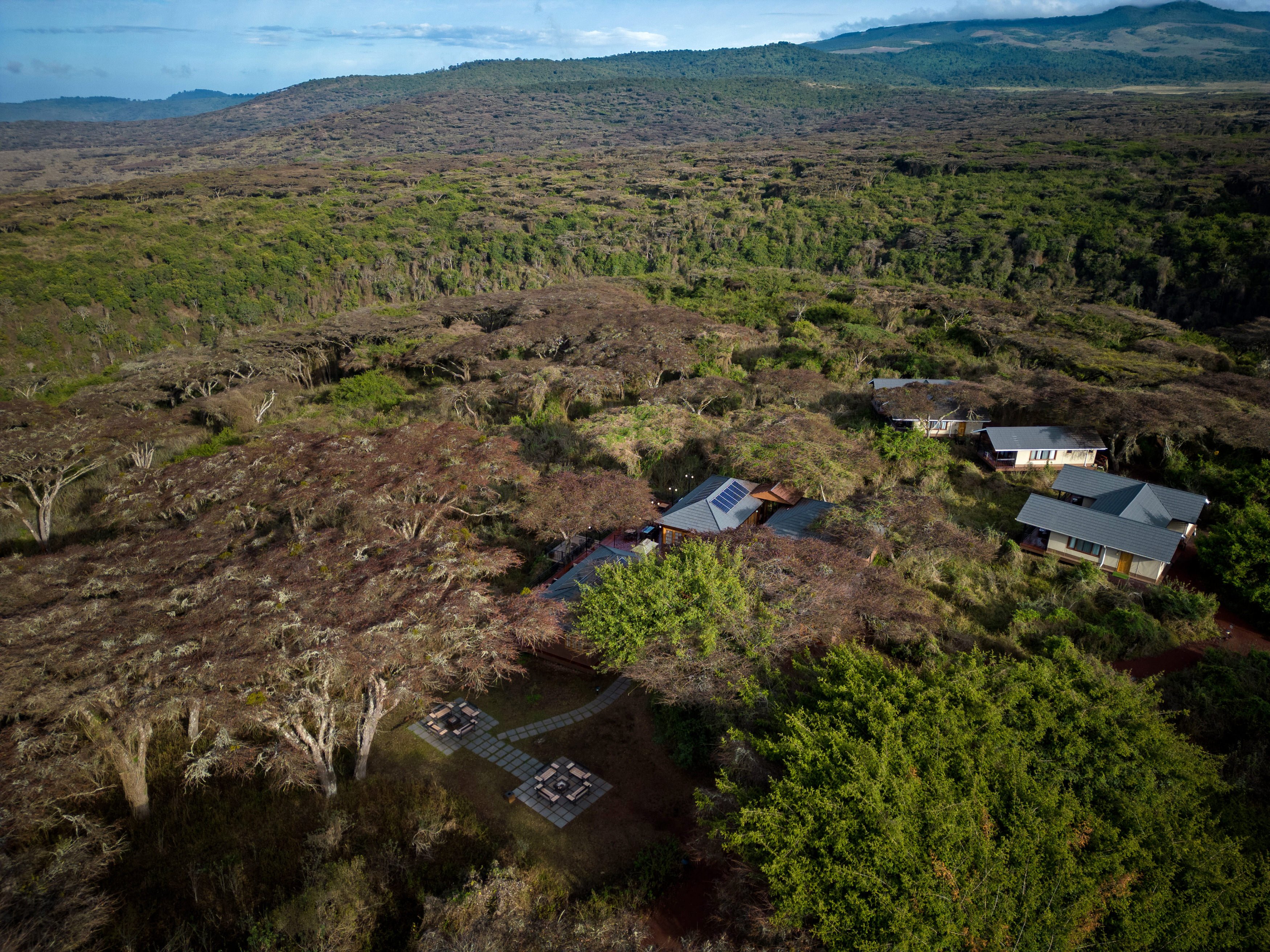 7 Days The Circle of Life: A Calving Safari Experience - Ndutu to Central Serengeti National Park - Photo of the day