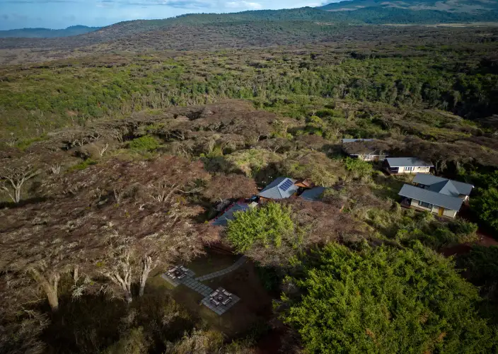 7 Tage Der Kreis des Lebens: Ein Kalbungs-Safari-Erlebnis - Ndutu nach Zentral-Serengeti-Nationalpark - Tagesfoto