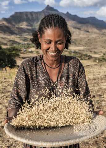 Viaje al Sur y Gran Rift