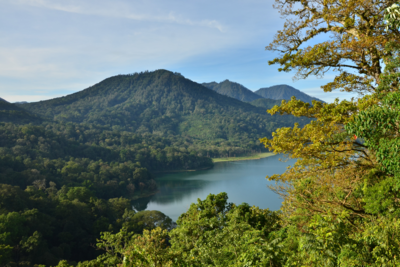 Voyage spirituel à Bali : yoga, purification et reconnexion au cœur de l’île des Dieux. - Cheminer vers Ubud - Photo du jour