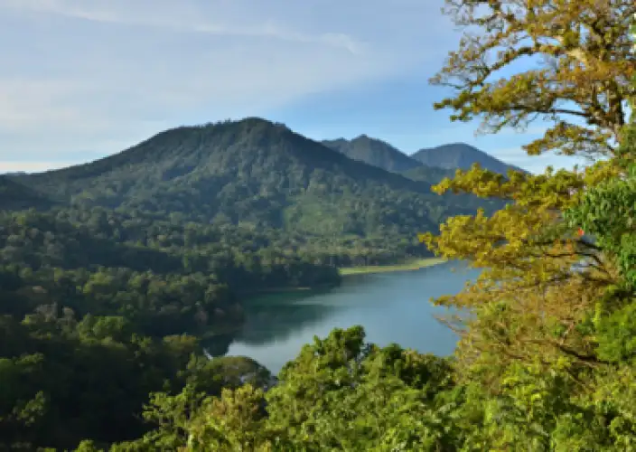 Voyage spirituel à Bali : yoga, purification et reconnexion au cœur de l’île des Dieux. - Cheminer vers Ubud - Photo du jour