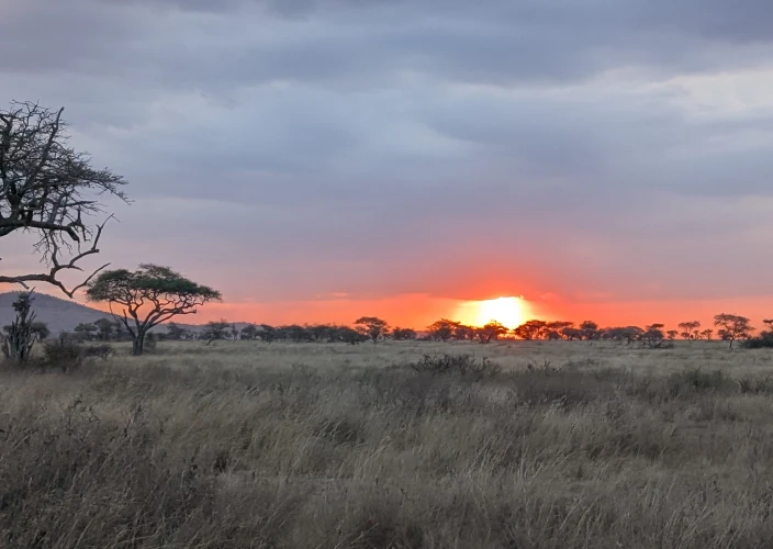 Circuito de Safári do Norte de 11 Dias & Tour de Médio Porte em Zanzibar - Imersão no Serengeti - Foto do dia