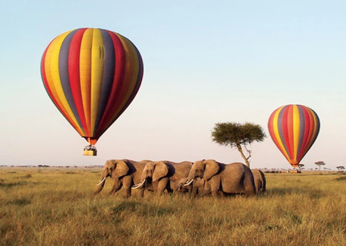 Essence of Kenya Safari - Maasai Mara – Optional Balloon Safari - Photo of the day