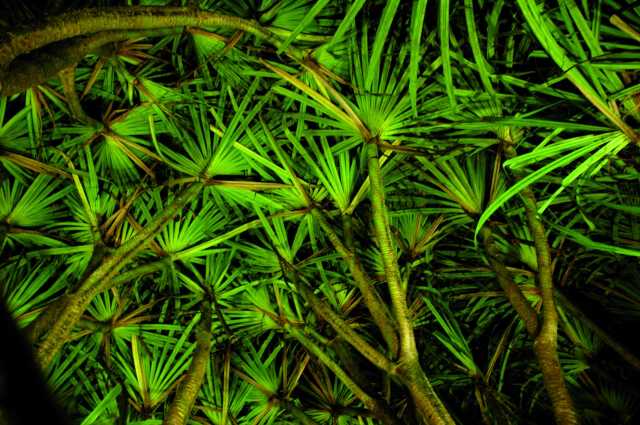 Combinado Costa Rica - Nicaragua: entre naturaleza y cultura