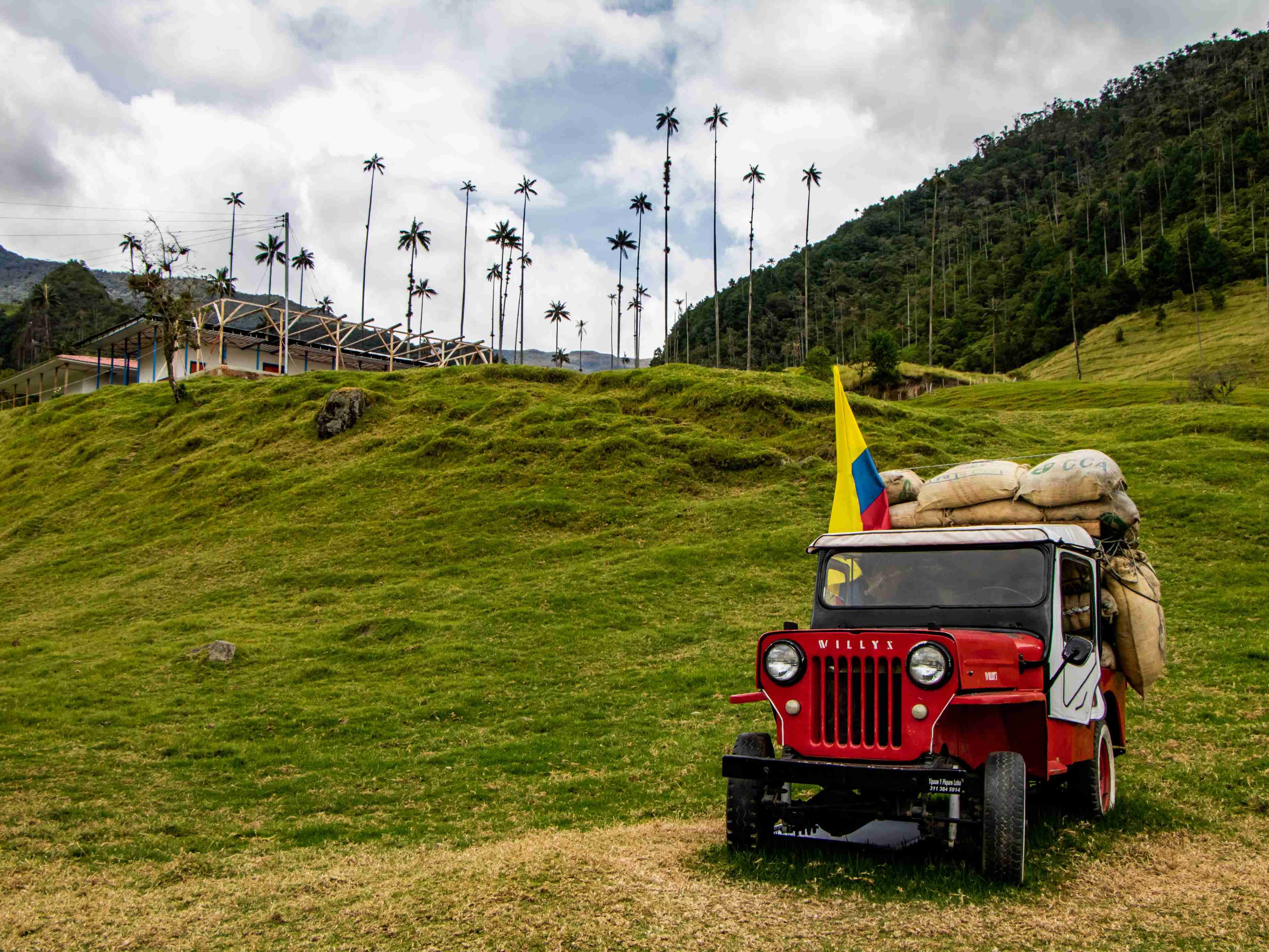 Self-drive tour - 21 days - Salento, coffee region - Salento, région du café