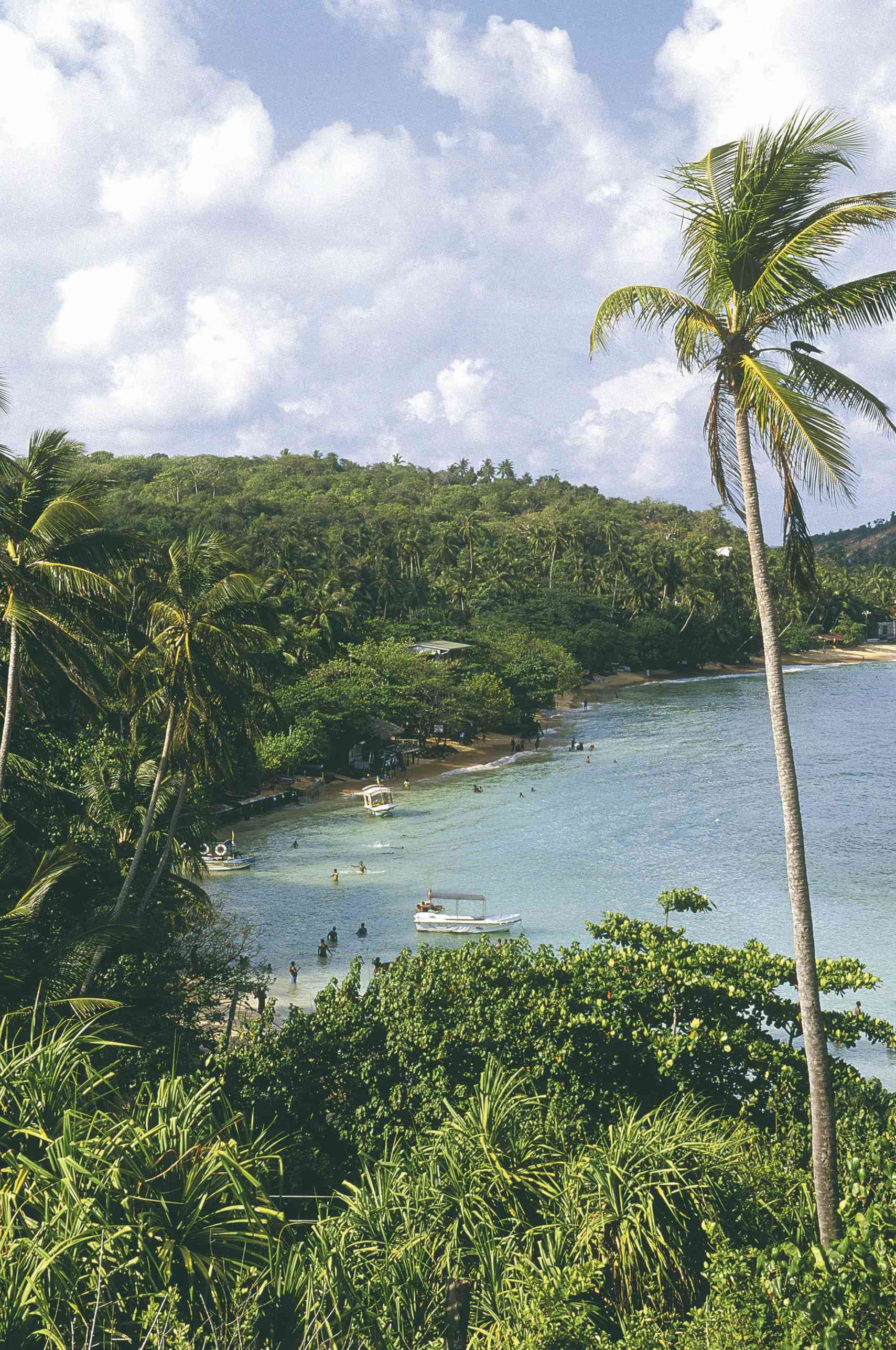 Sri Lanka todo incluido - Jardín botánico, cascada y Little England - Jardin botanique, cascade et Little England
