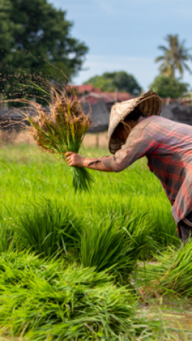 Bali en famille avec des ados : aventures, culture et moments inoubliables sur l’île des Dieux.