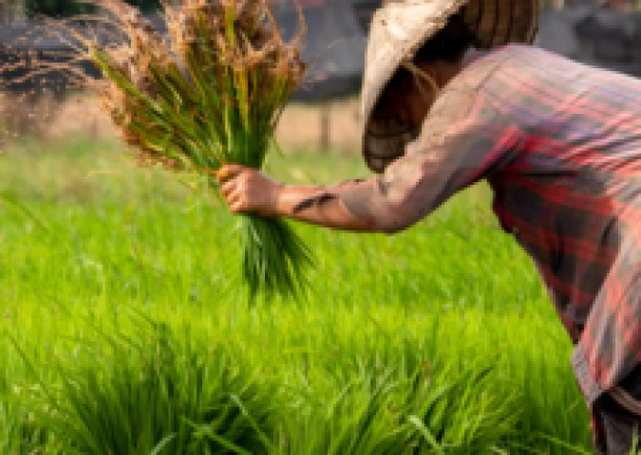 Bali met het gezin en tieners: avonturen, cultuur en onvergetelijke momenten op het eiland van de Goden. - Op zoek naar de verloren Ark! - Foto van de dag