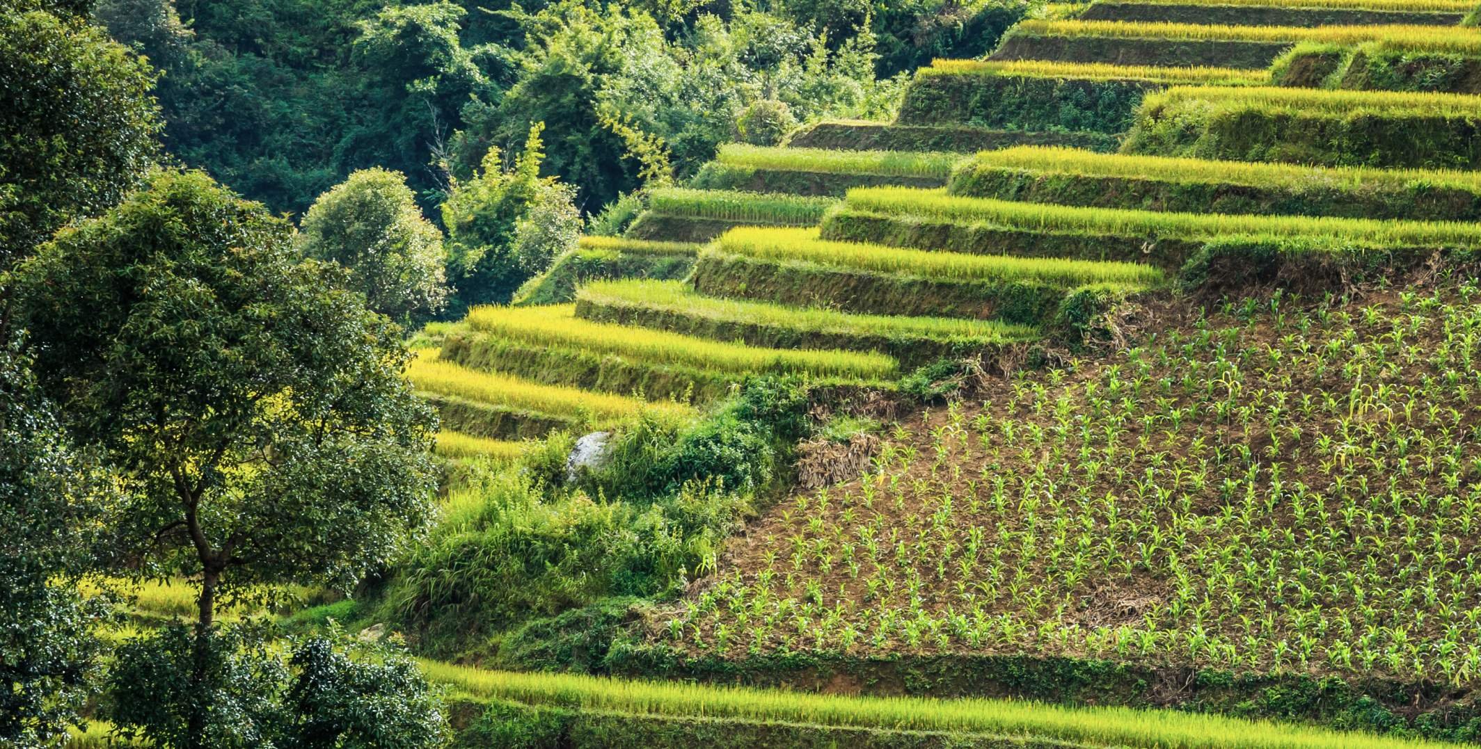 Schoonheid van het Noorden in Vietnam en het eiland Phu Quoc: 11 dagen, 10 nachten - MAI CHAU - PU LUONG - MAI CHAU - PU LUONG