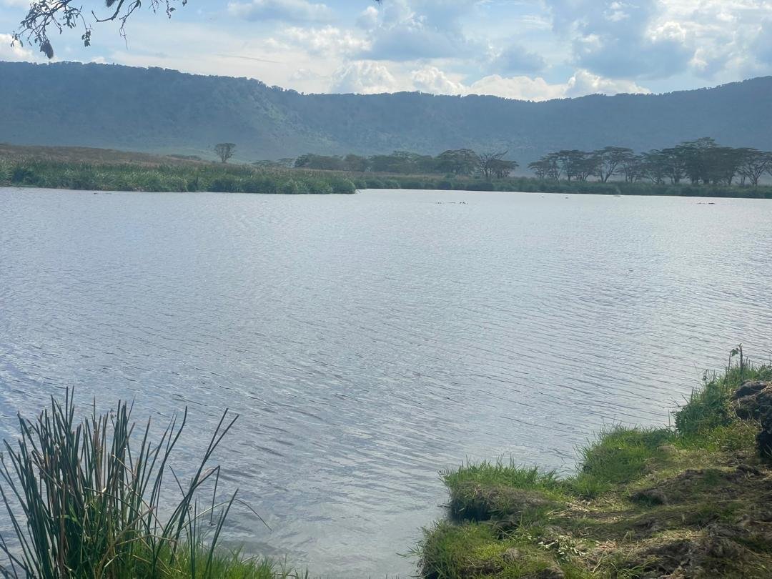 8-Day Safari & Beach Getaway in Tanzania - Tarangire to Serengeti National Park - Photo of the day