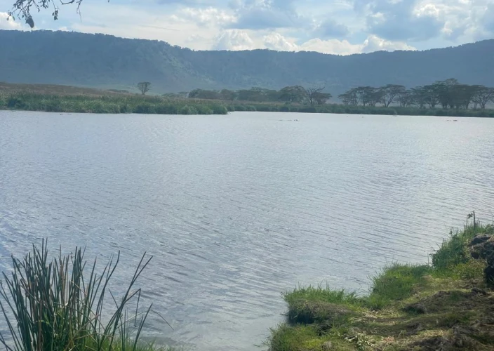 8-Day Safari & Beach Getaway in Tanzania - Tarangire to Serengeti National Park - Photo of the day