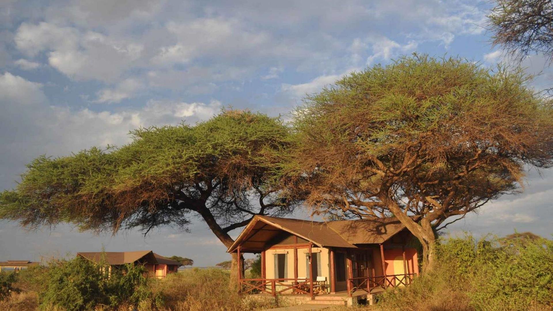 Classic 8-day safari in Kenya - Amboseli National Park - Nairobi - Foto del giorno