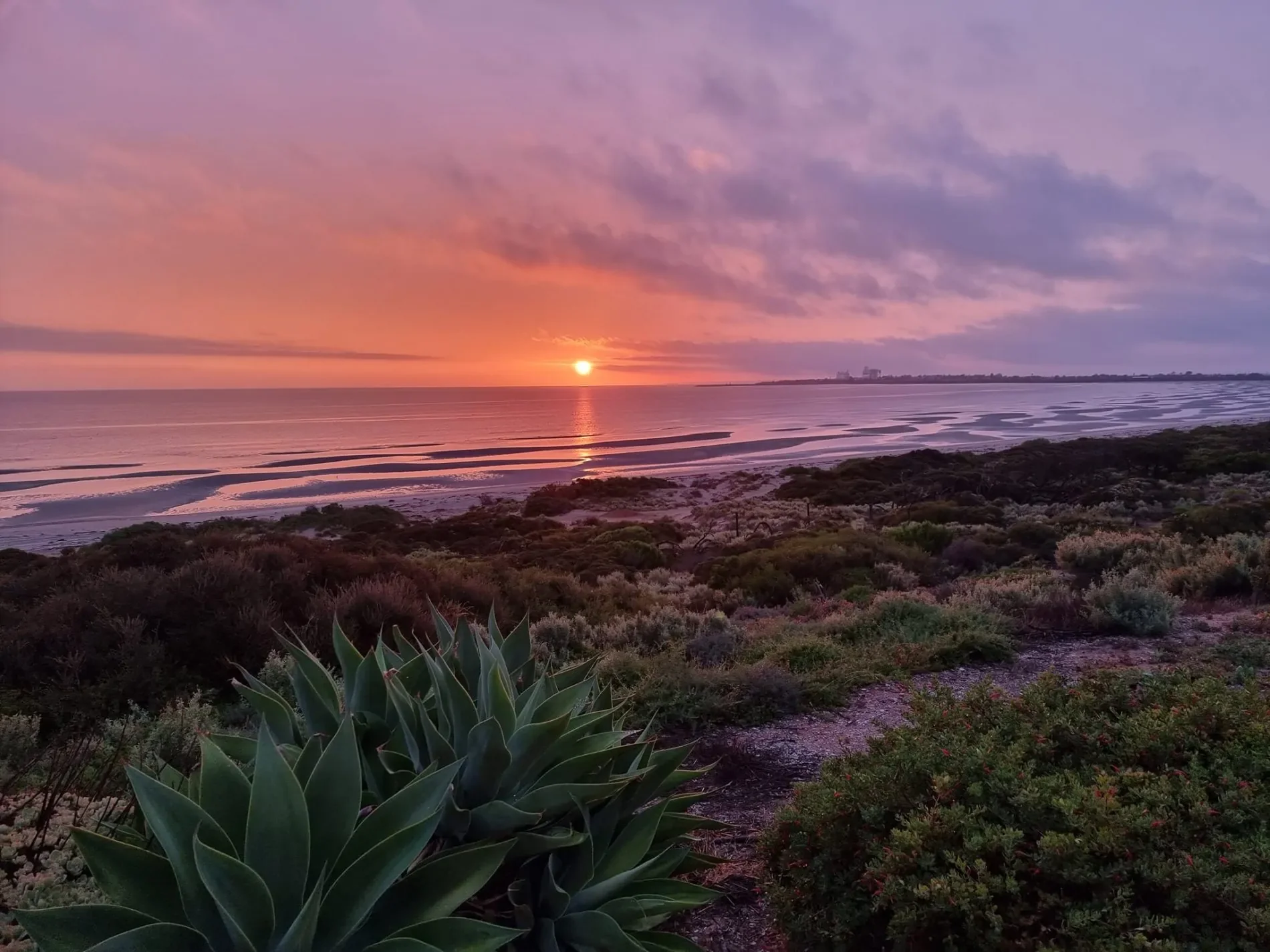 Location de camping-car - Adélaïde - Ceduna - Photo du jour
