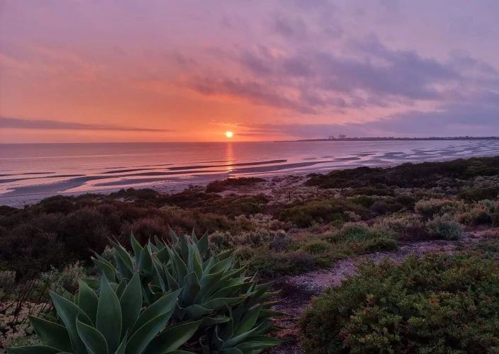 Campervan Hire - Adelaide - Ceduna - Photo of the day