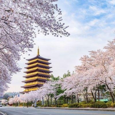 À descoberta da Coreia do Sul - Gyeongju, o patrimônio do reino de Silla - Gyeongju, le patrimoine du royaume de Silla