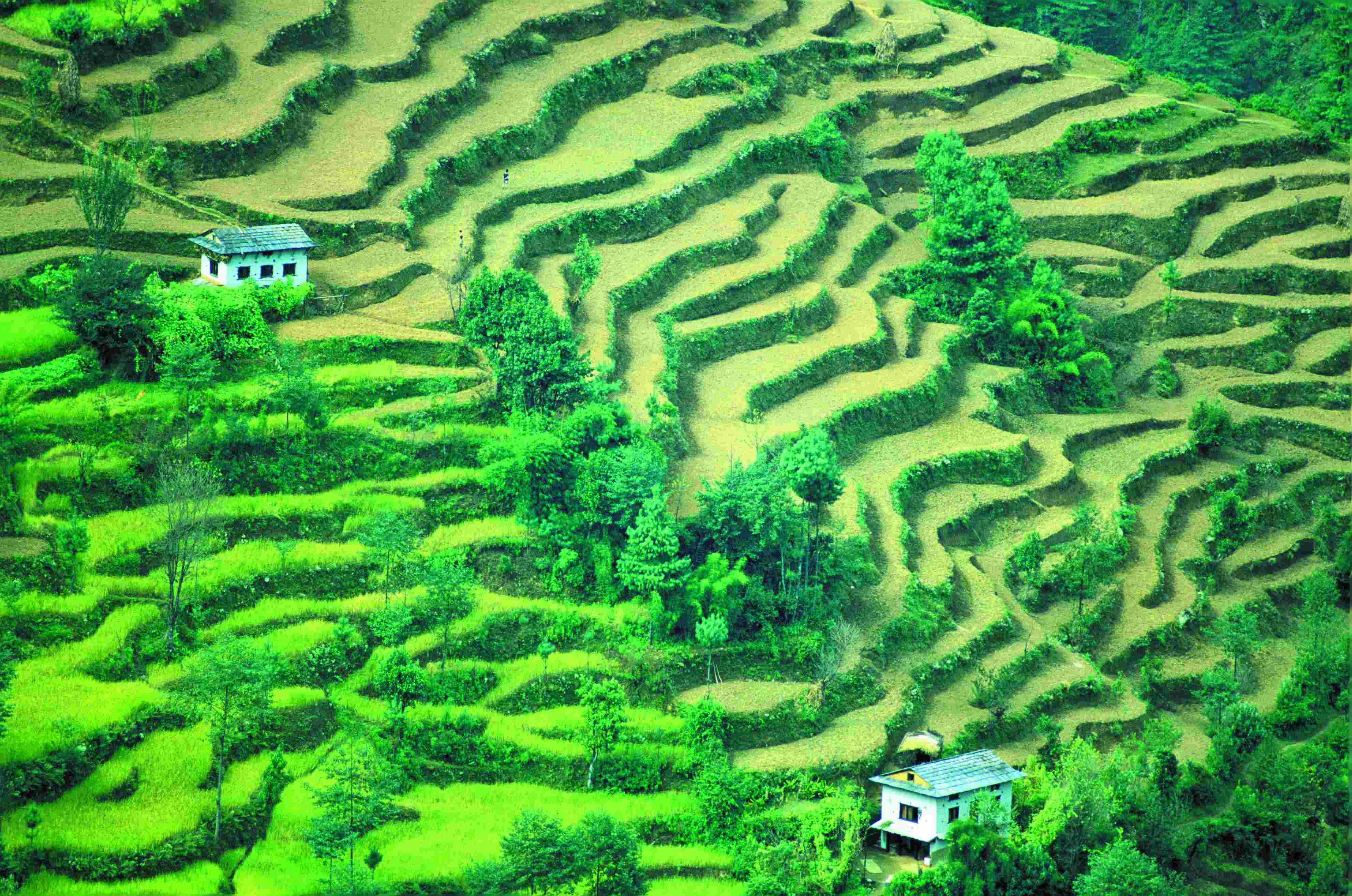 Everest basiskamp, Cho La Pass, Gokyo Peak en Kala Pattar. - Khumjung - Dole (4100 m) - Khumjung - Dole (4100 m)