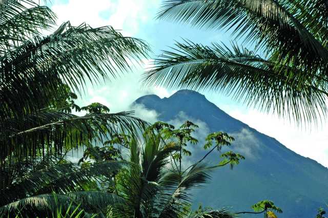 Dicht bij de natuur van Costa Rica en de lokale bewoners.