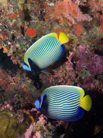 7 days of low-cost travel to the Galápagos Islands, in San Cristóbal.