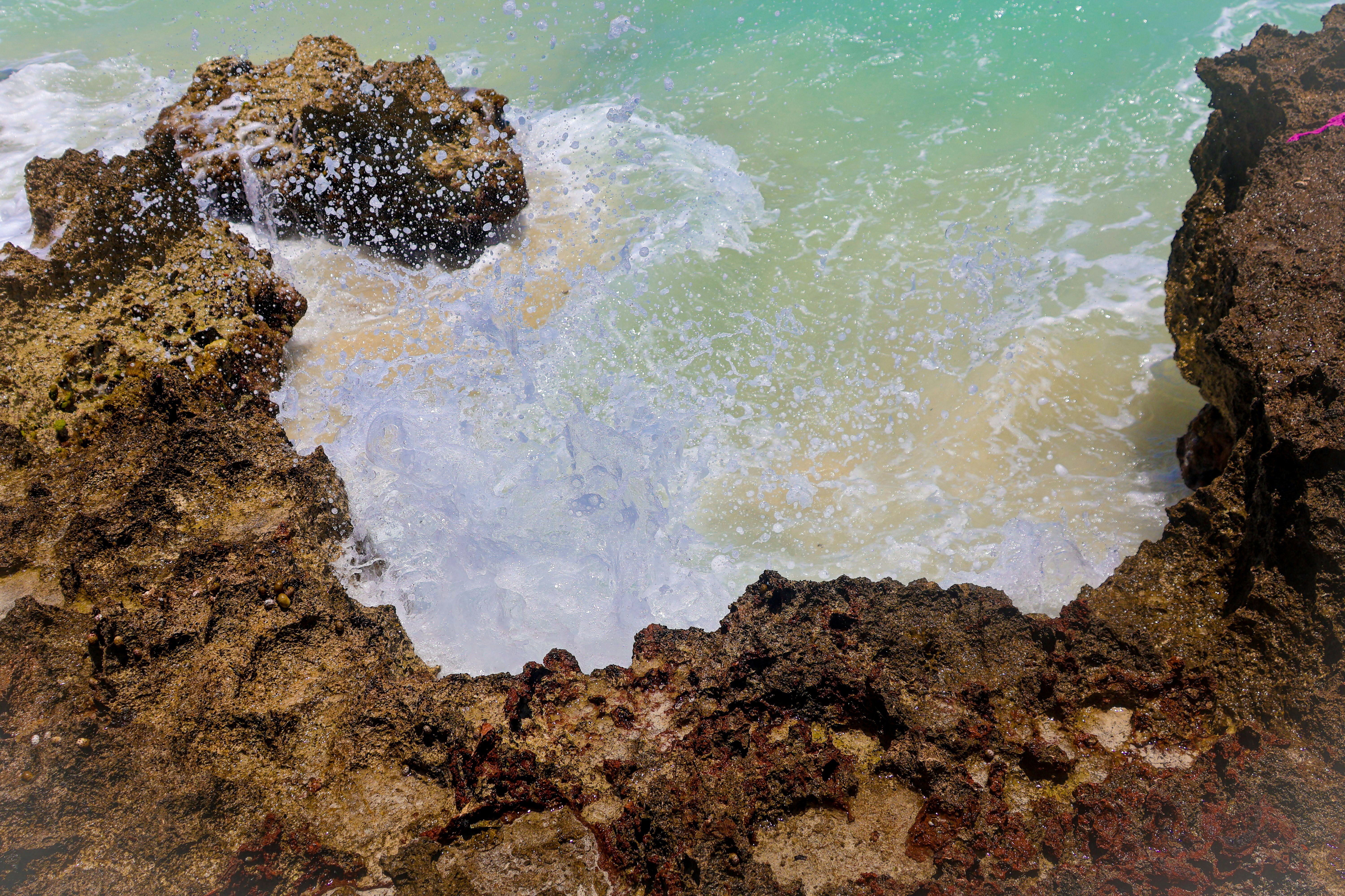 Cuba, Única en su clase - Playa Larga (Bahía de Cochinos) - natación, esnórquel opcional - Foto del día