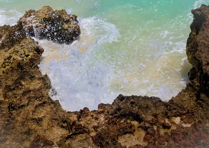 Cuba, Uniek - Playa Larga (Varkensbaai) - zwemmen, optioneel snorkelen - Foto van de dag