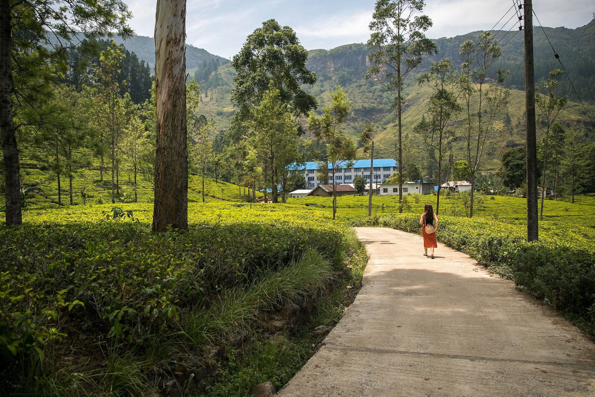 Les classiques du Sri Lanka - Nuwara Eliya - Nuwara Eliya