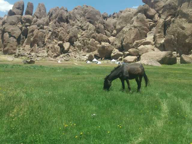 Trek et randonnée au Jebel Siroua – 8 jours