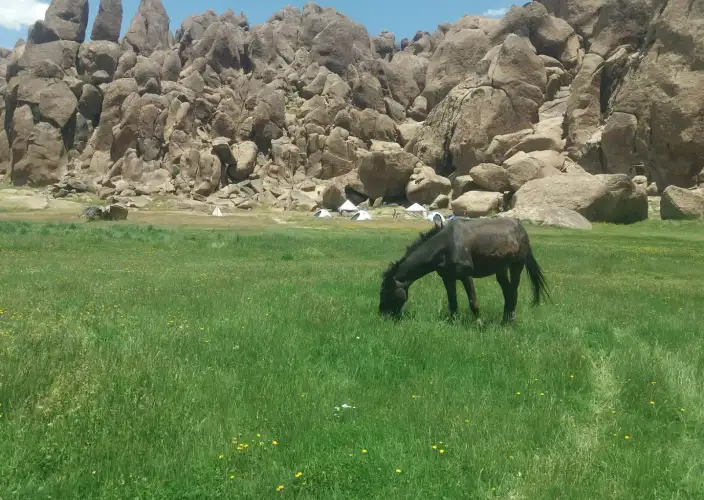 Trek ed escursionismo al Jebel Siroua – 8 giorni - Azib Iriri / Azib Azazegzane (2500 m) - Foto del giorno