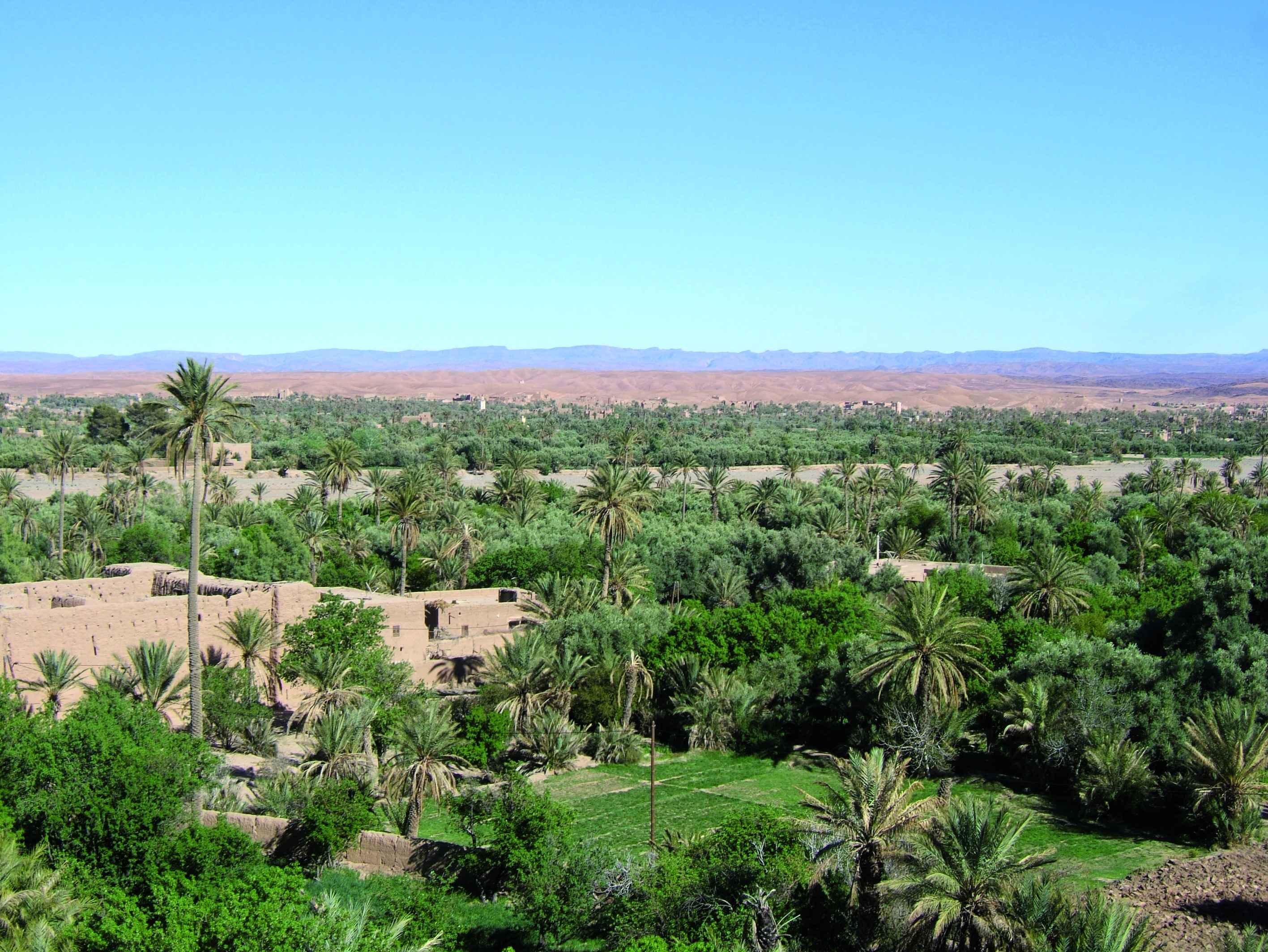 Dunes of Merzouga and kasbahs of the Moroccan south - Skoura - Tineghir - Skoura - Tineghir