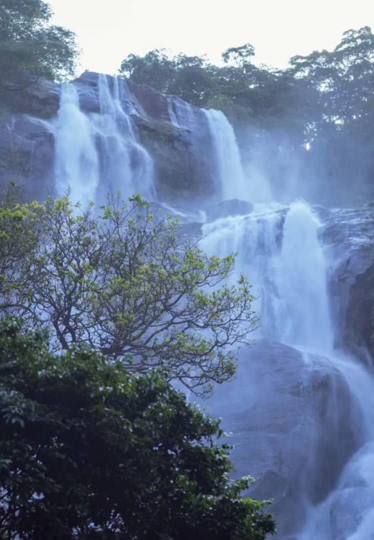 Explore the diverse landscapes and wildlife of Tanzania's hidden gems - Hike to Sanje Waterfalls | Back to Dar es Salaam - Photo of the day