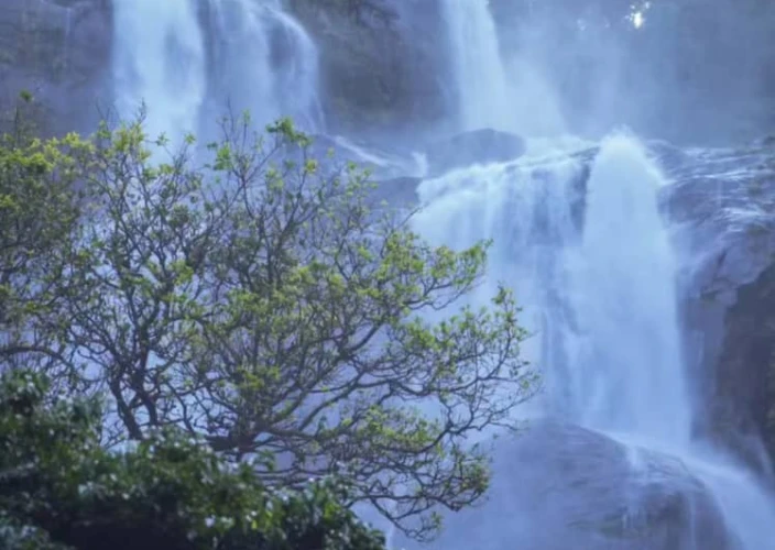 Explorez les paysages variés et la faune des trésors cachés de la Tanzanie - Randonnée jusqu'aux chutes de Sanje | Retour à Dar es Salaam - Photo du jour