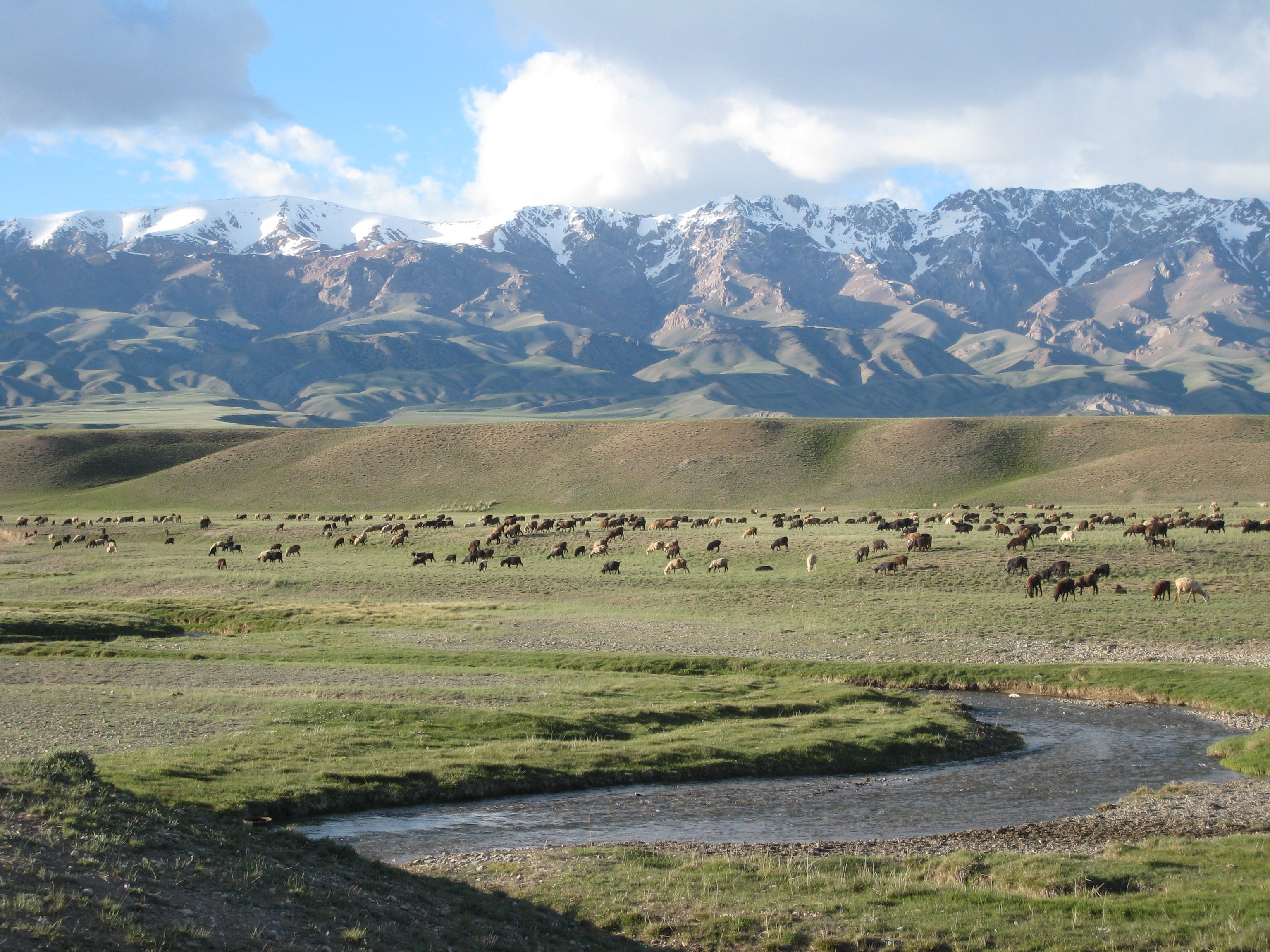 Maßgeschneiderte Tour zu den schönsten Seen Kirgisistans - TASH RABAT – KEL SUU - Tagesfoto