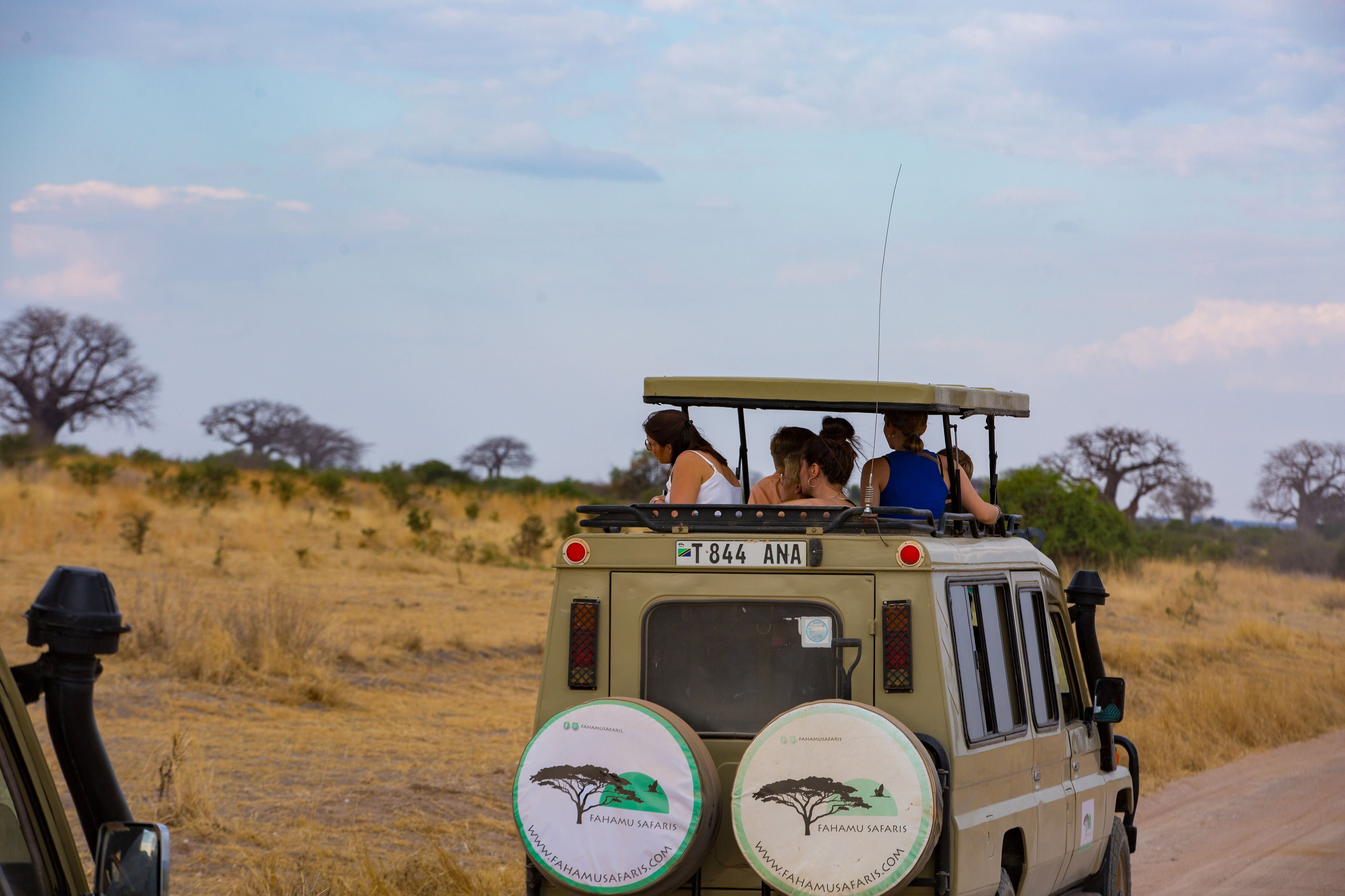 Tansania & Sansibar: 13-tägige Safari- und Strand-Erfahrung - Die Ngorongoro-Krater-Tour - Tagesfoto