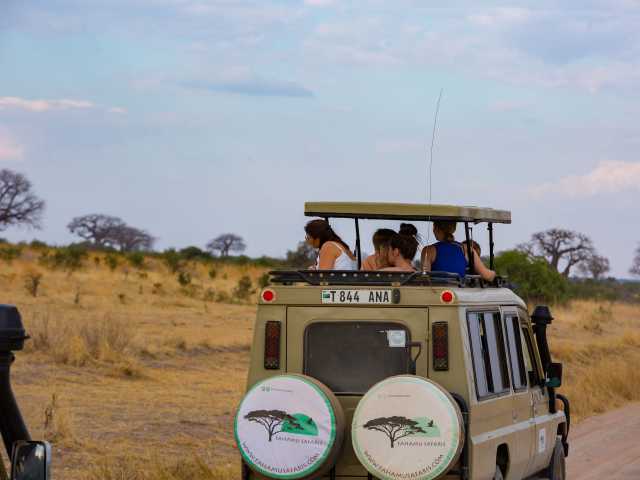 Expérience de 13 jours en Tanzanie et à Zanzibar : safari et plage