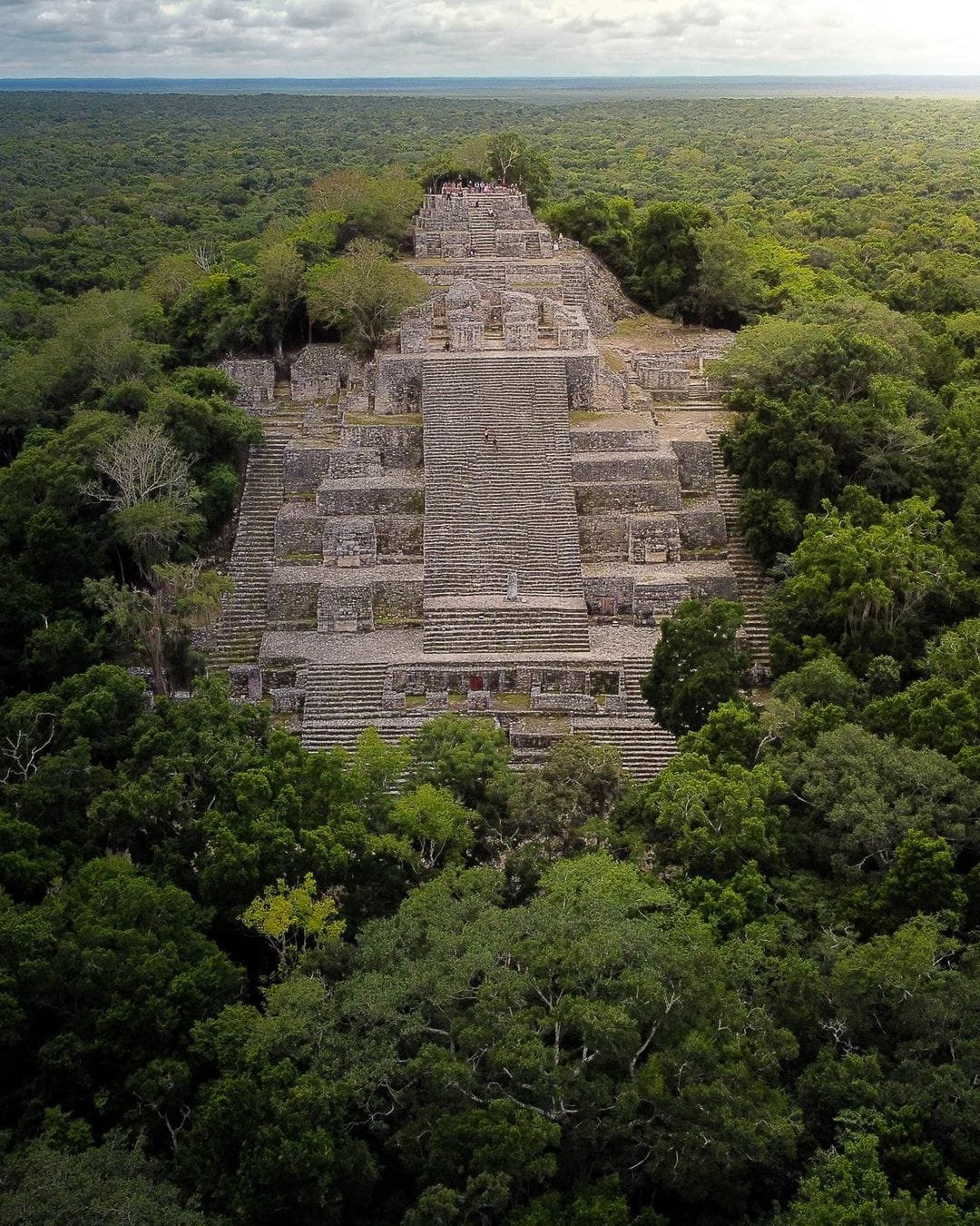 O circuito de Yucatán ☀️ - Calakmul: a aventura no coração da selva - Foto do dia