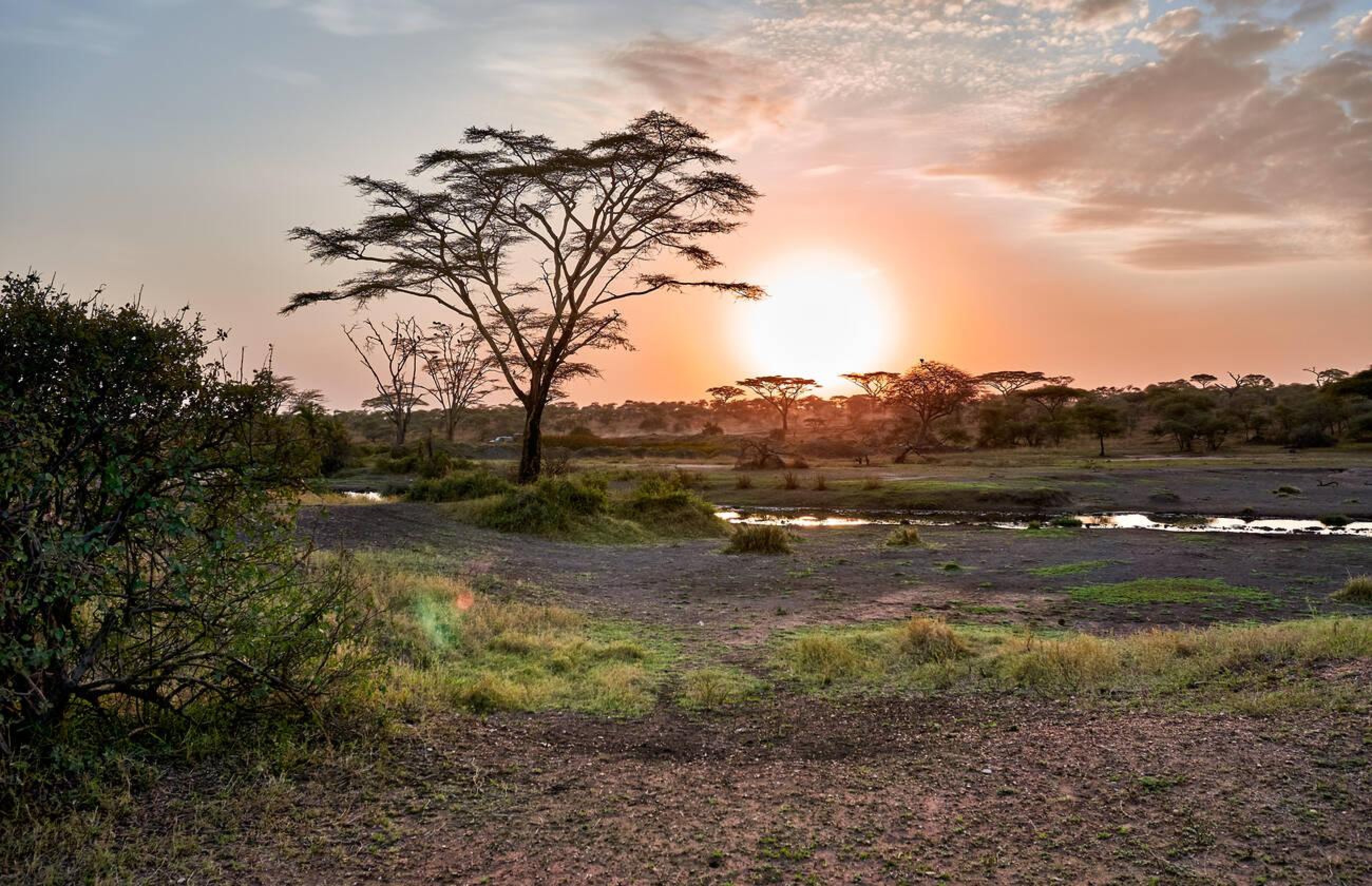 Avventura nella boscaglia e relax a Zanzibar - Il vostro arrivo e trasferimento nel comfort e nella tranquillità - Foto del giorno