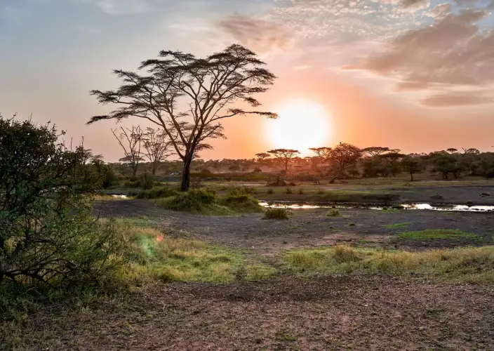 Avventura nella boscaglia e relax a Zanzibar - Il vostro arrivo e trasferimento nel comfort e nella tranquillità - Foto del giorno